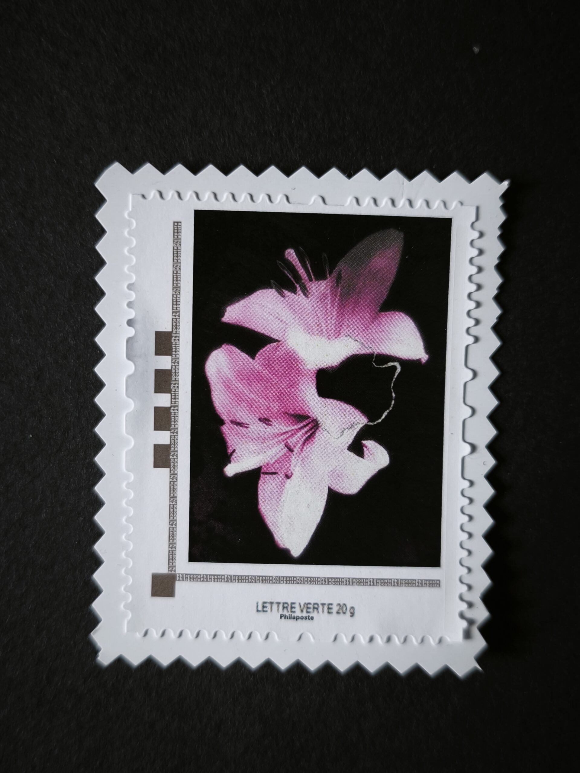 696903af25f18242111880.jpg