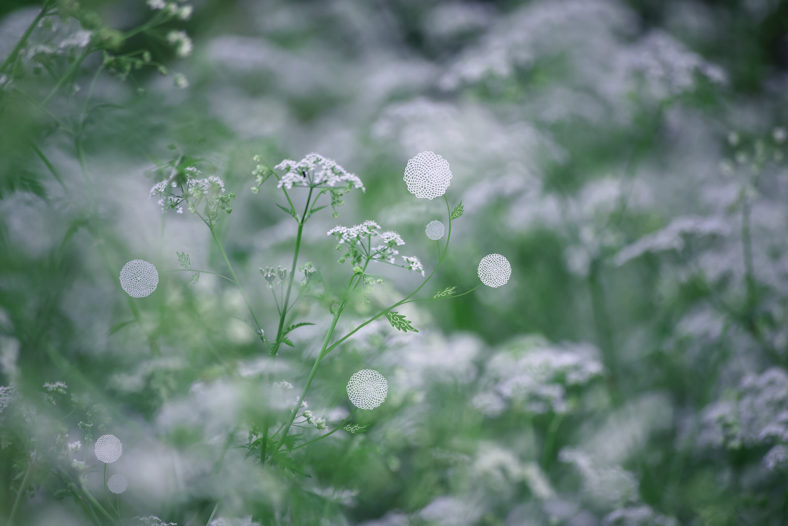 6abe17bc7d72e465079571-1.jpg